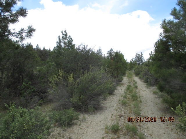 Lot 5 Partin Drive Beatty, OR 97621 - Photo 5 of 6 IMG_0463