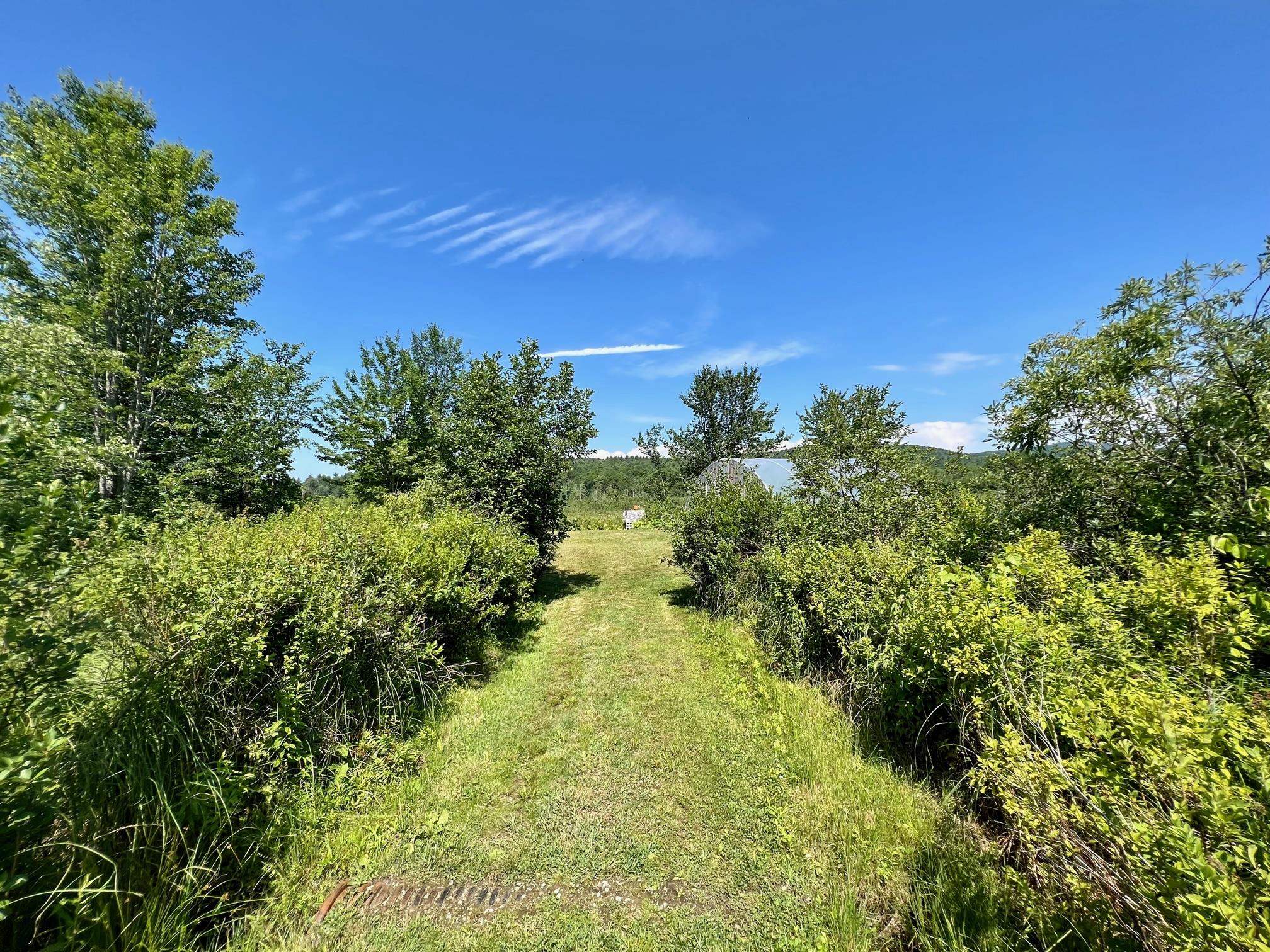 1245 Burbee Pond Road Windham, VT 05359 - Photo 27 of 39