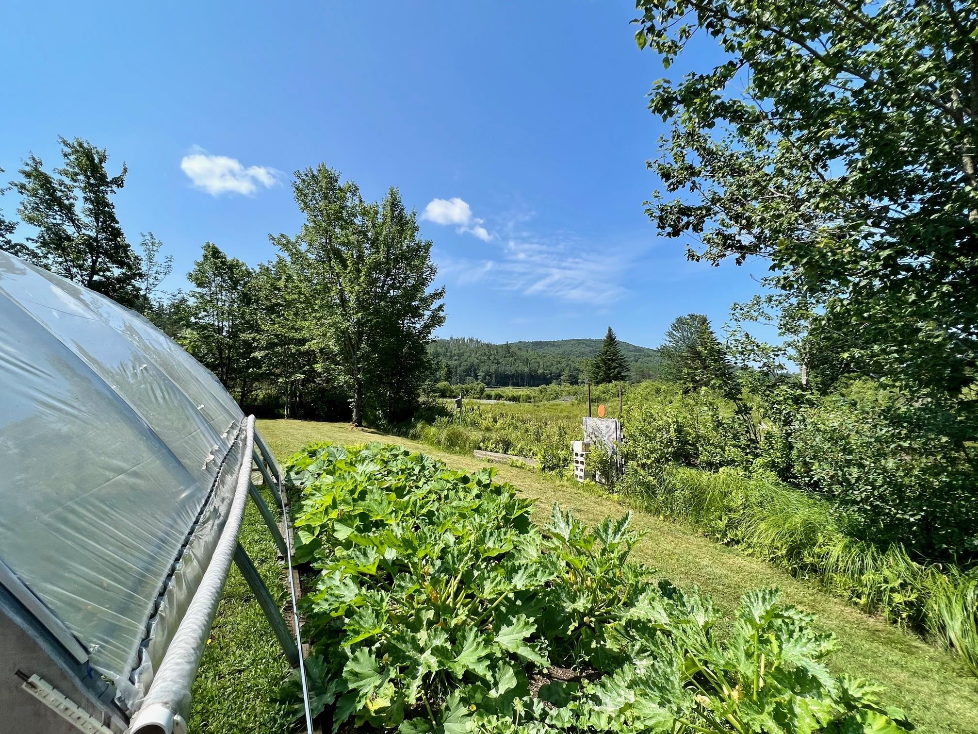 1245 Burbee Pond Road Windham, VT 05359 - Photo 29 of 39