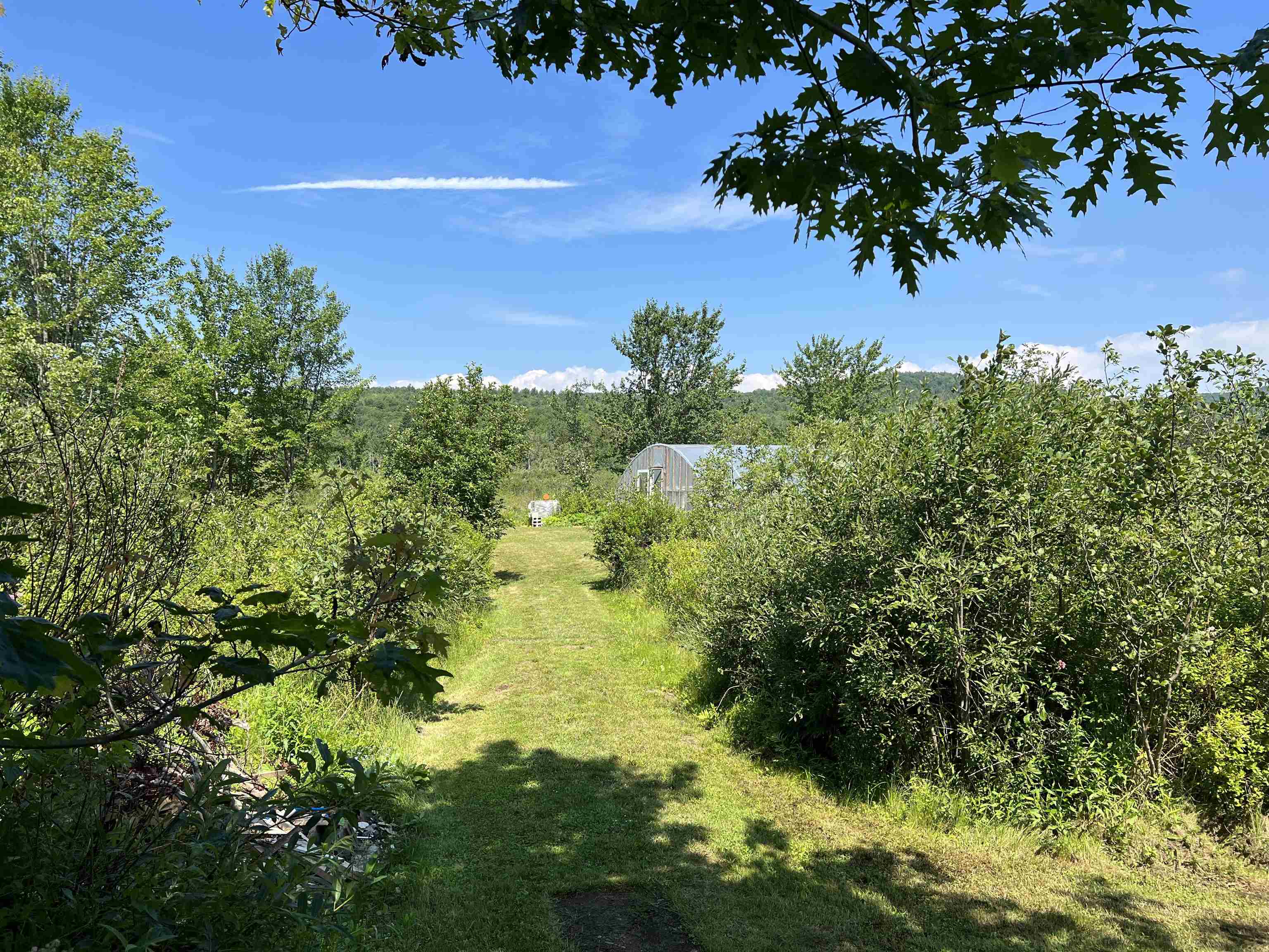 1245 Burbee Pond Road Windham, VT 05359 - Photo 38 of 39