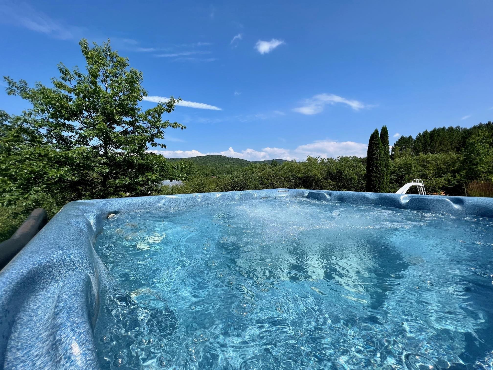 1245 Burbee Pond Road Windham, VT 05359 - Photo 6 of 39