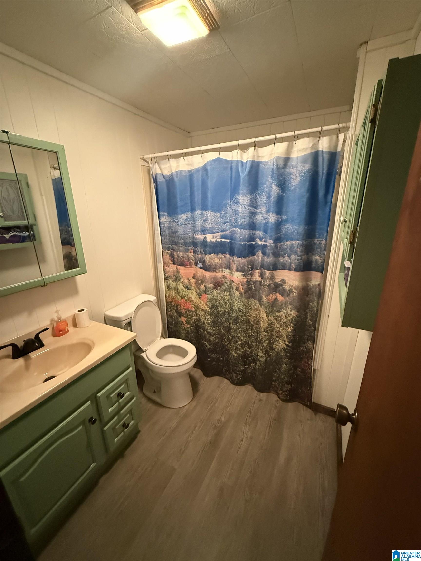405 Narrows Road Remlap, AL 35133 - Photo 7 of 13