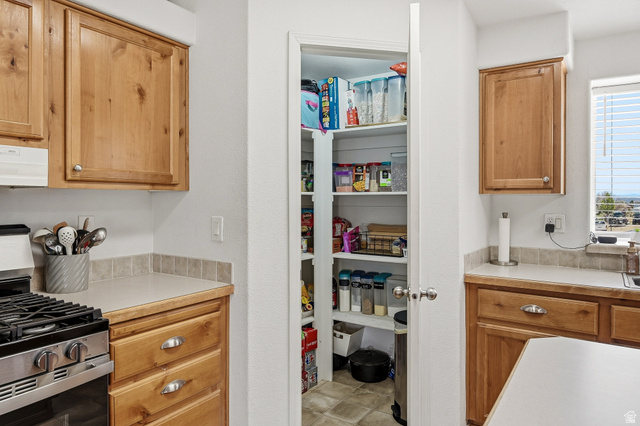 1637 East Midvalley Road Enoch, UT 84721 - Photo 14 of 48 View of pantry