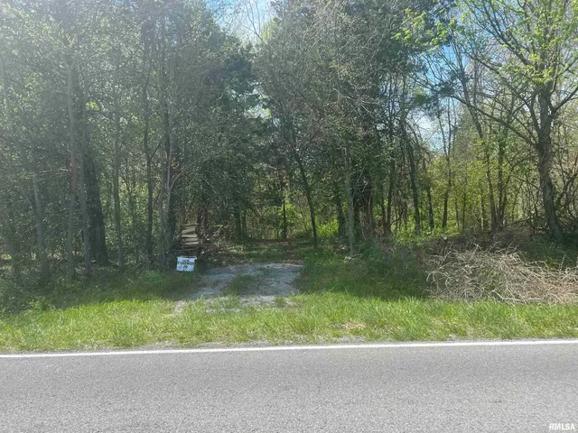 $16,000 | 1-2 Grassy Road, Carbondale, IL 62902