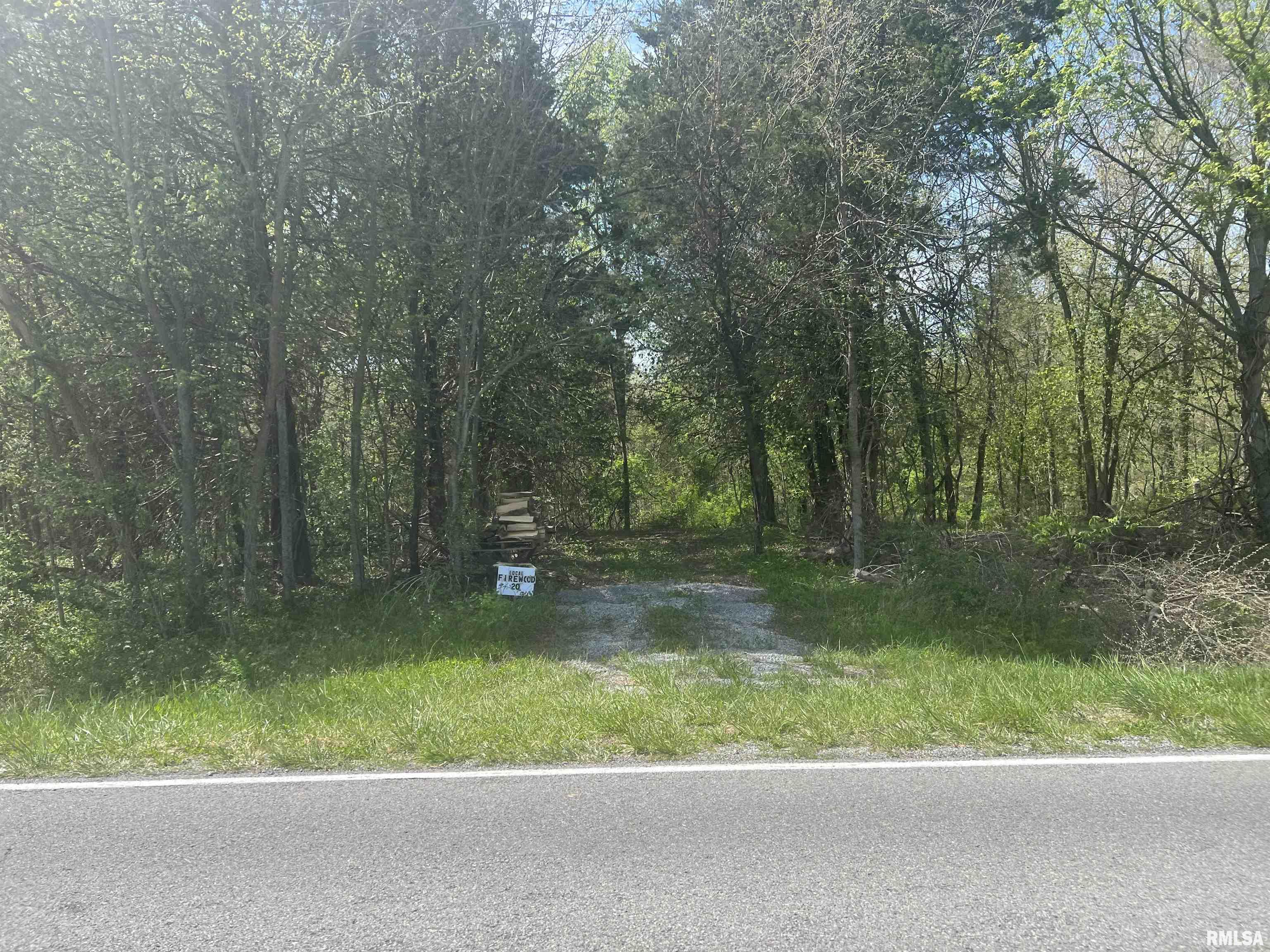 1-2 Grassy Road Carbondale, IL 62902 - Photo 3 of 5