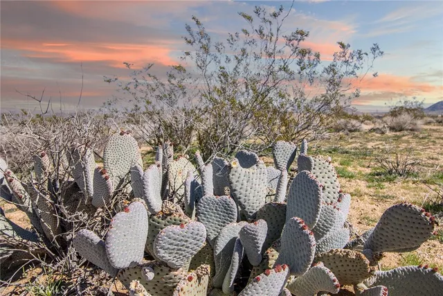 $29,900 | 55875 Desideria Drive, Landers, CA 92285