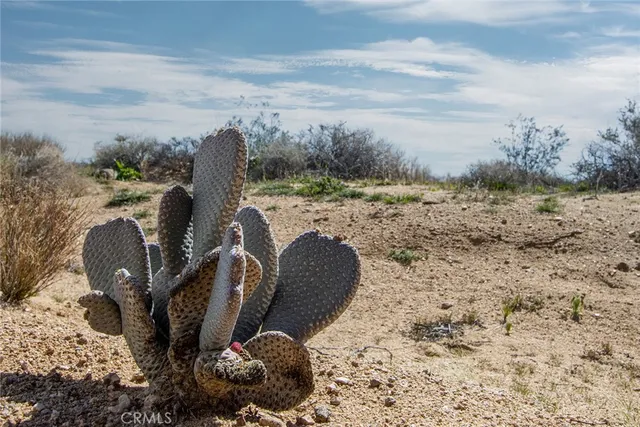 $29,900 | 55875 Desideria Drive, Landers, CA 92285