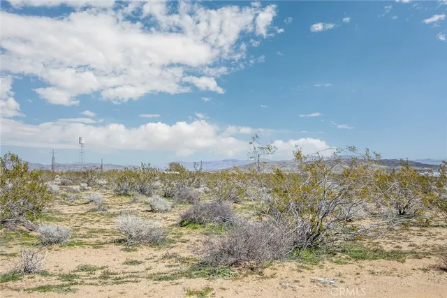 $29,900 | 55875 Desideria Drive, Landers, CA 92285