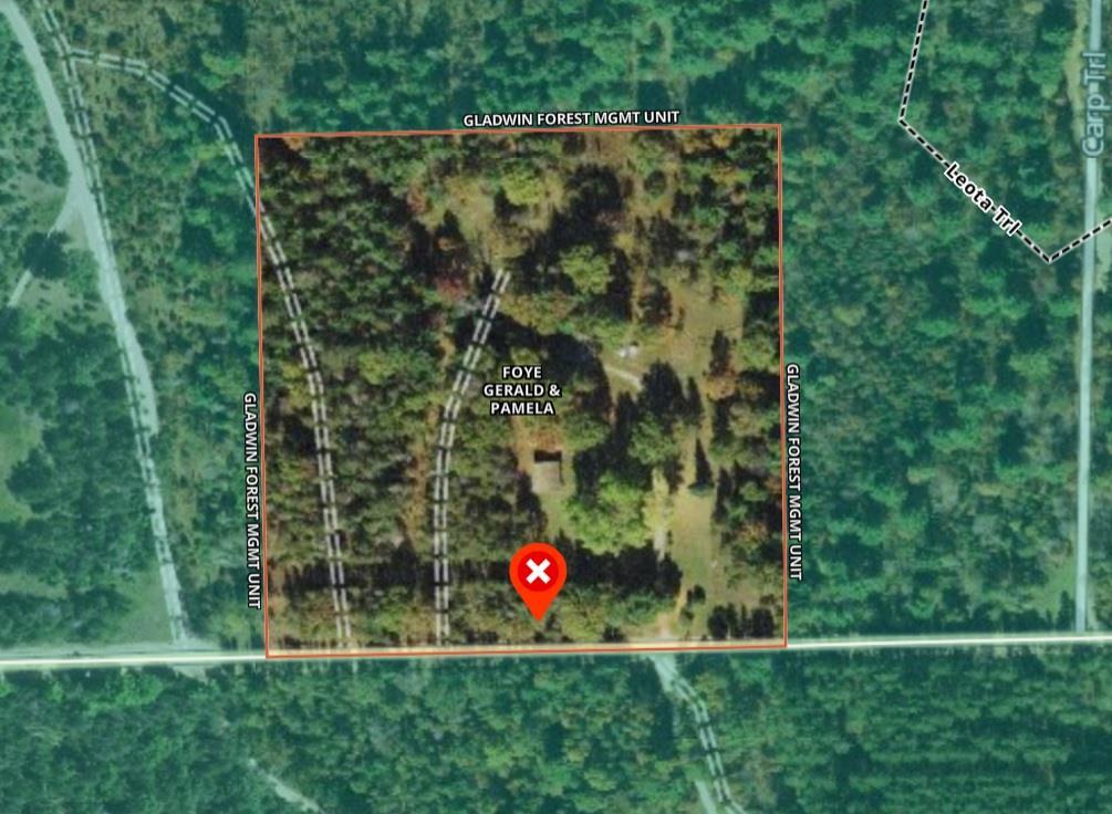 635 East Pierce Road Harrison, MI 48625 - Photo 36 of 49
