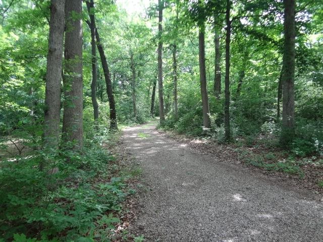 23101 North Berchtold Road Chillicothe, IL 61523 - Photo 23 of 35 Gallery Image 23