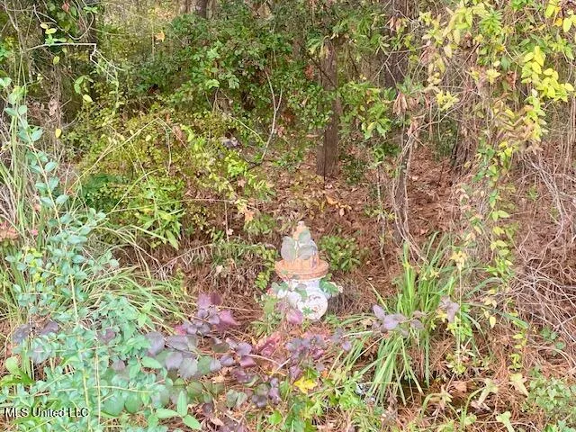 $199,500 | 0 Llewellyn Avenue, McComb, MS 39648