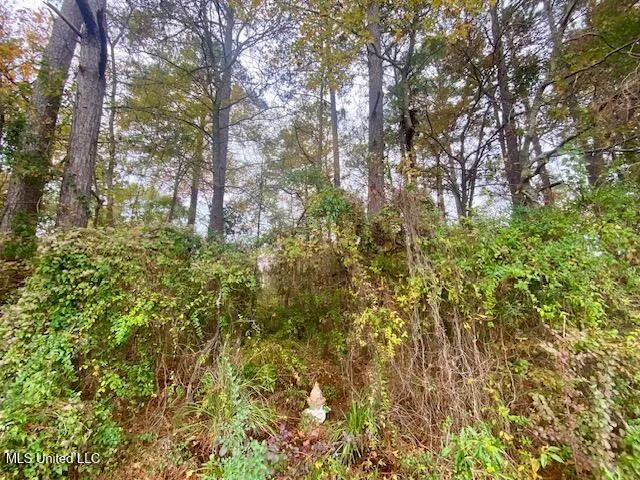 $199,500 | 0 Llewellyn Avenue, McComb, MS 39648