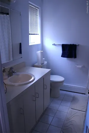 a bathroom with a sink a toilet and a mirror