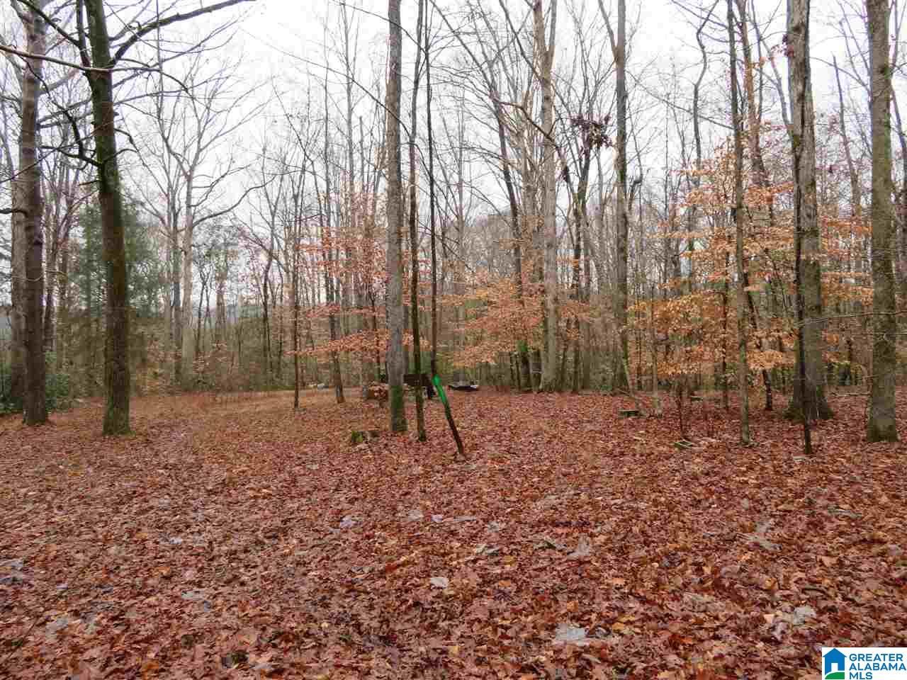 138 Cedar Grove Road West Blocton, AL 35184 - Photo 17 of 44