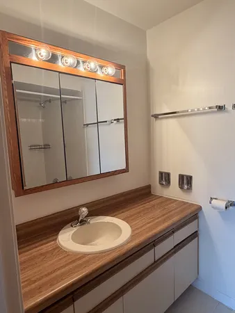 $1,400 | 1950 Cherry Lane, Unit 316, Northbrook, IL 60062