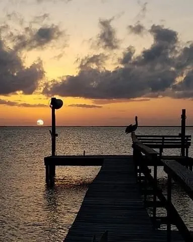 a view of a terrace with wooden floor and city view