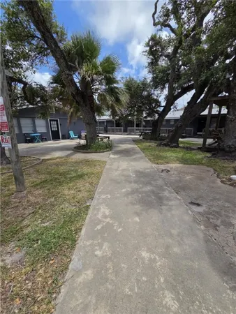 a view of a yard with plants and trees