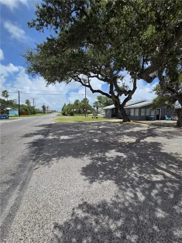 a view of a yard with plants and trees