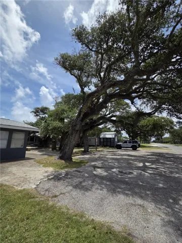 a view of a yard with an tree