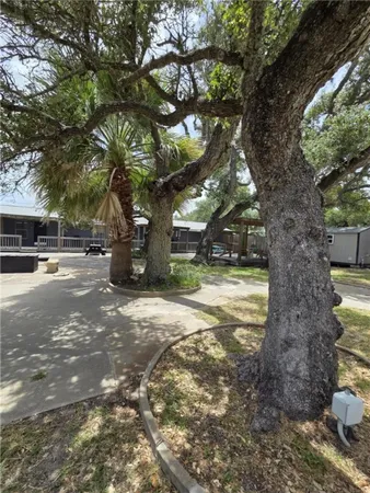 a view of street with large trees