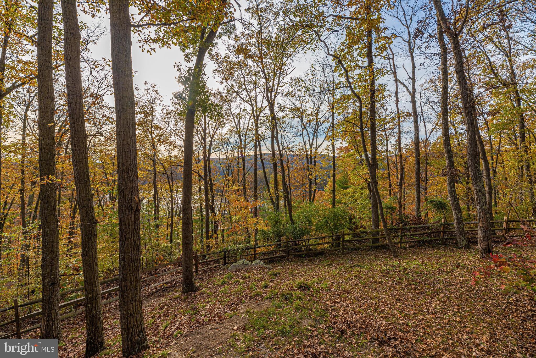 6510 Rimrock Road New Market, MD 21774 - Photo 51 of 74 Gallery Image 51