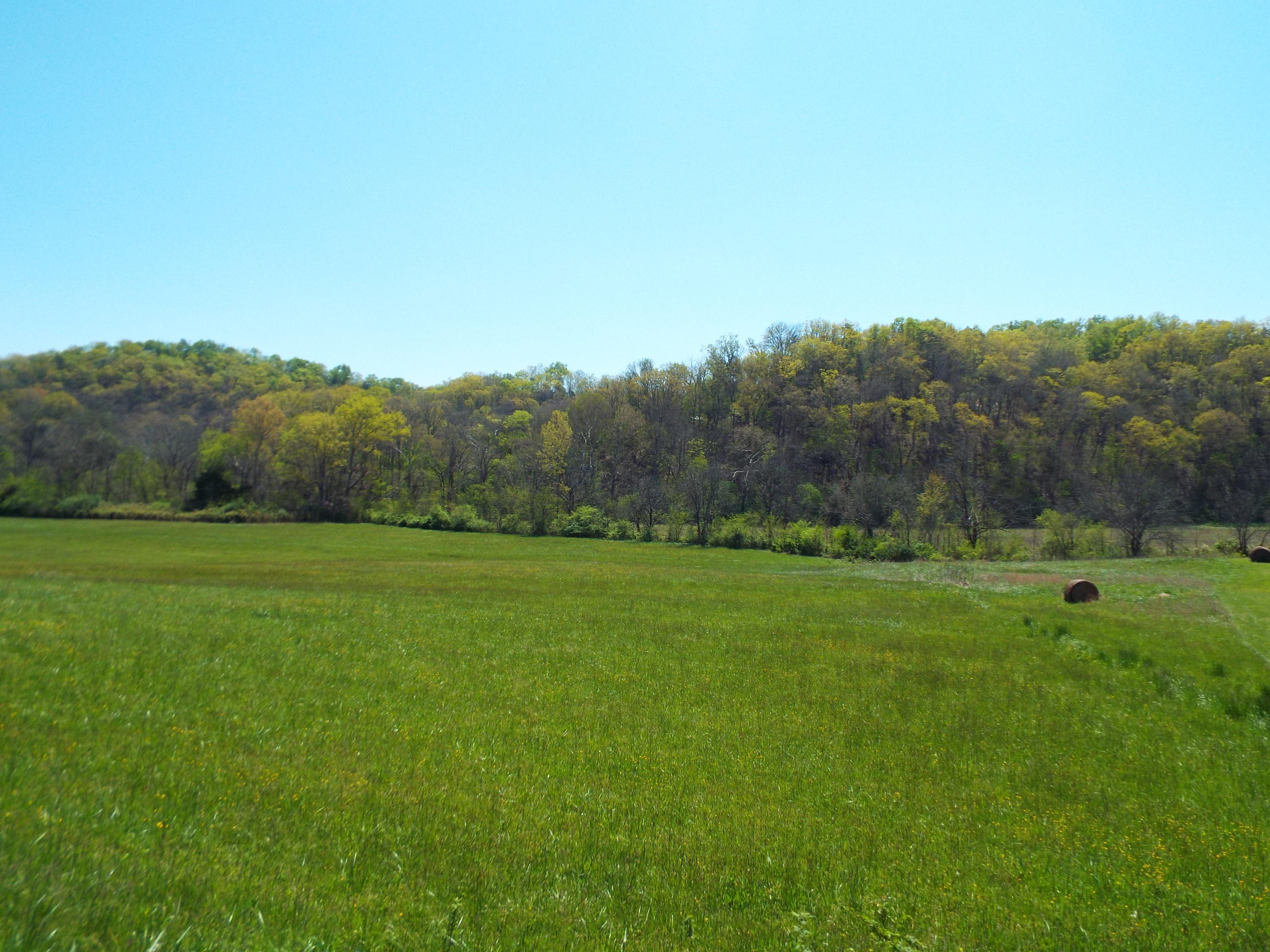 2 Fowler Grove Road Newport, TN 37821 - Photo 1 of 7 DSCF4938