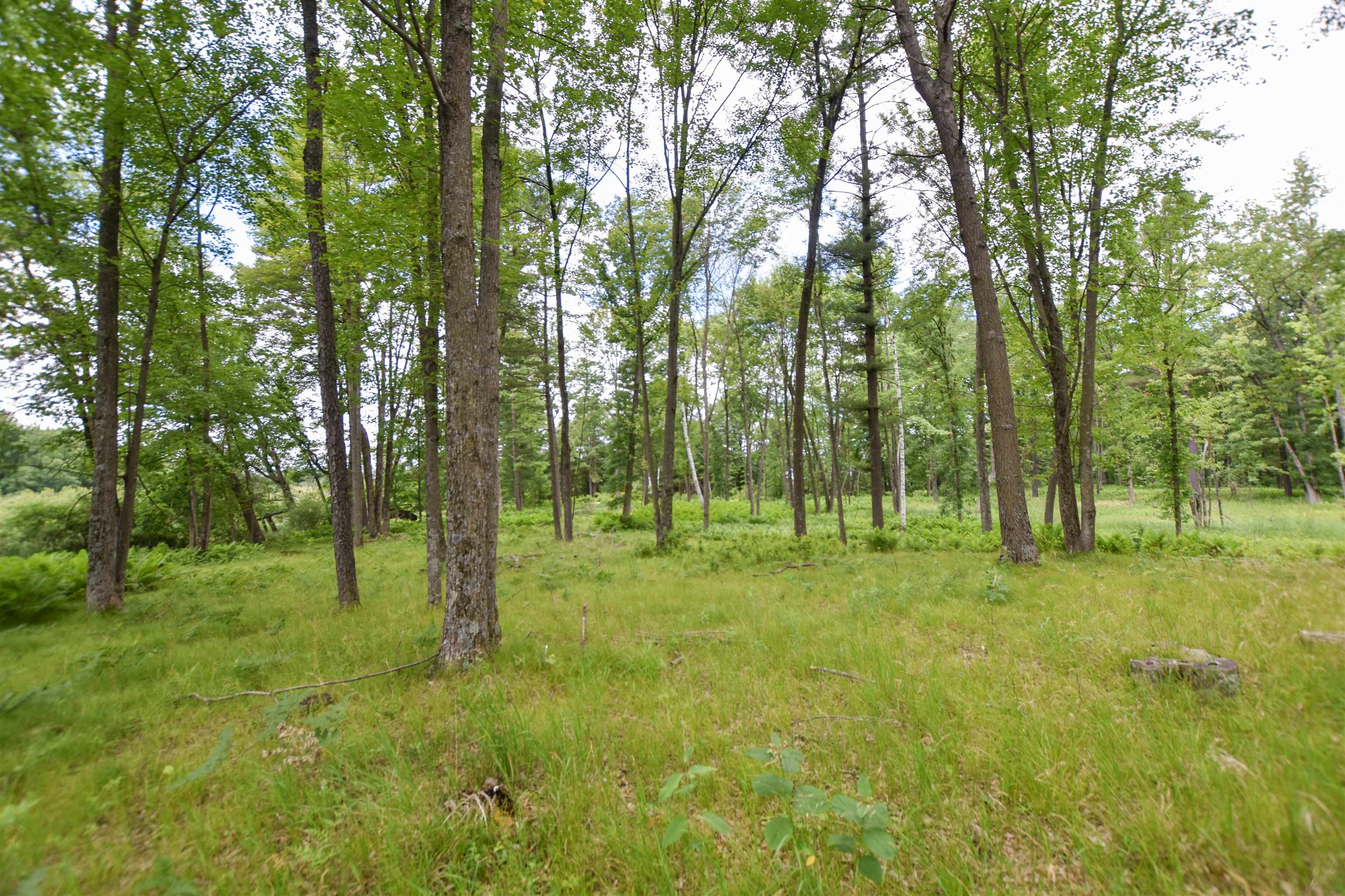 County Road Weyauwega, WI 54983 - Photo 21 of 72