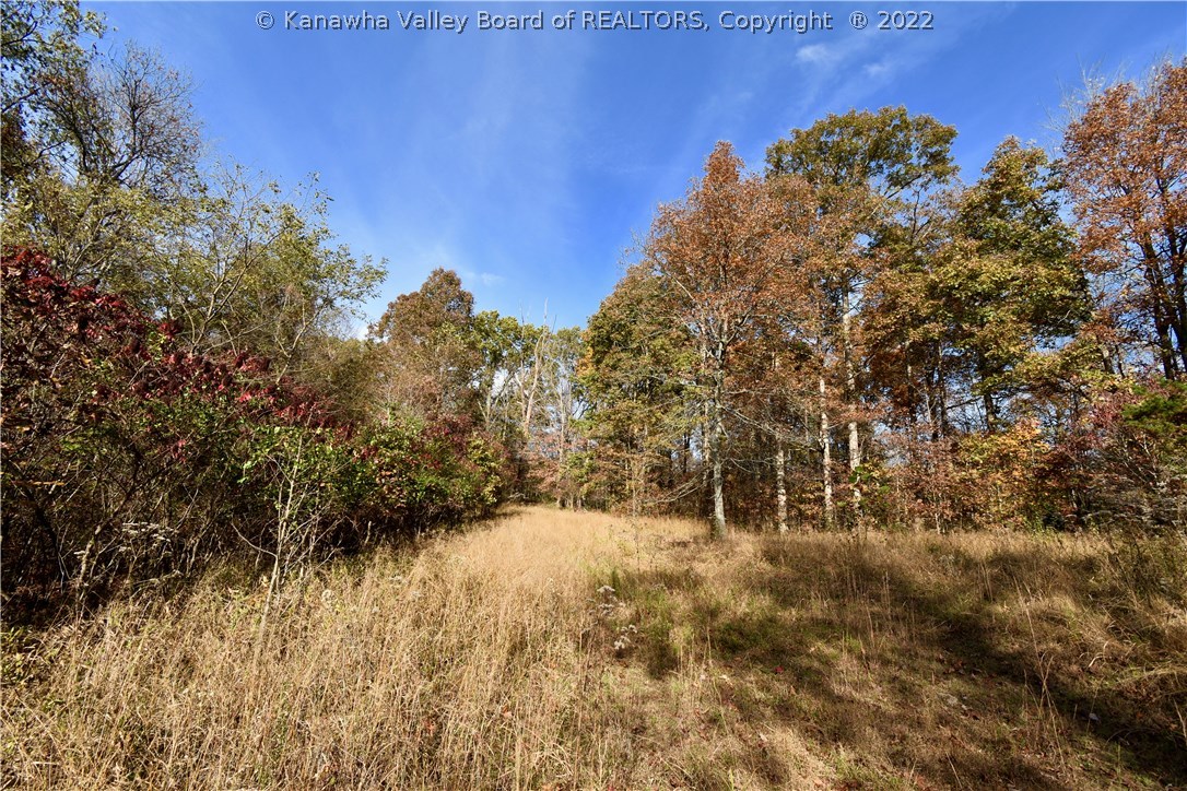 167 Samp Branch Road Ona, WV 25545 - Photo 28 of 28 Gallery Image 28