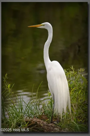 $619,000 | 111 Jade Street, Beaufort, NC 28516