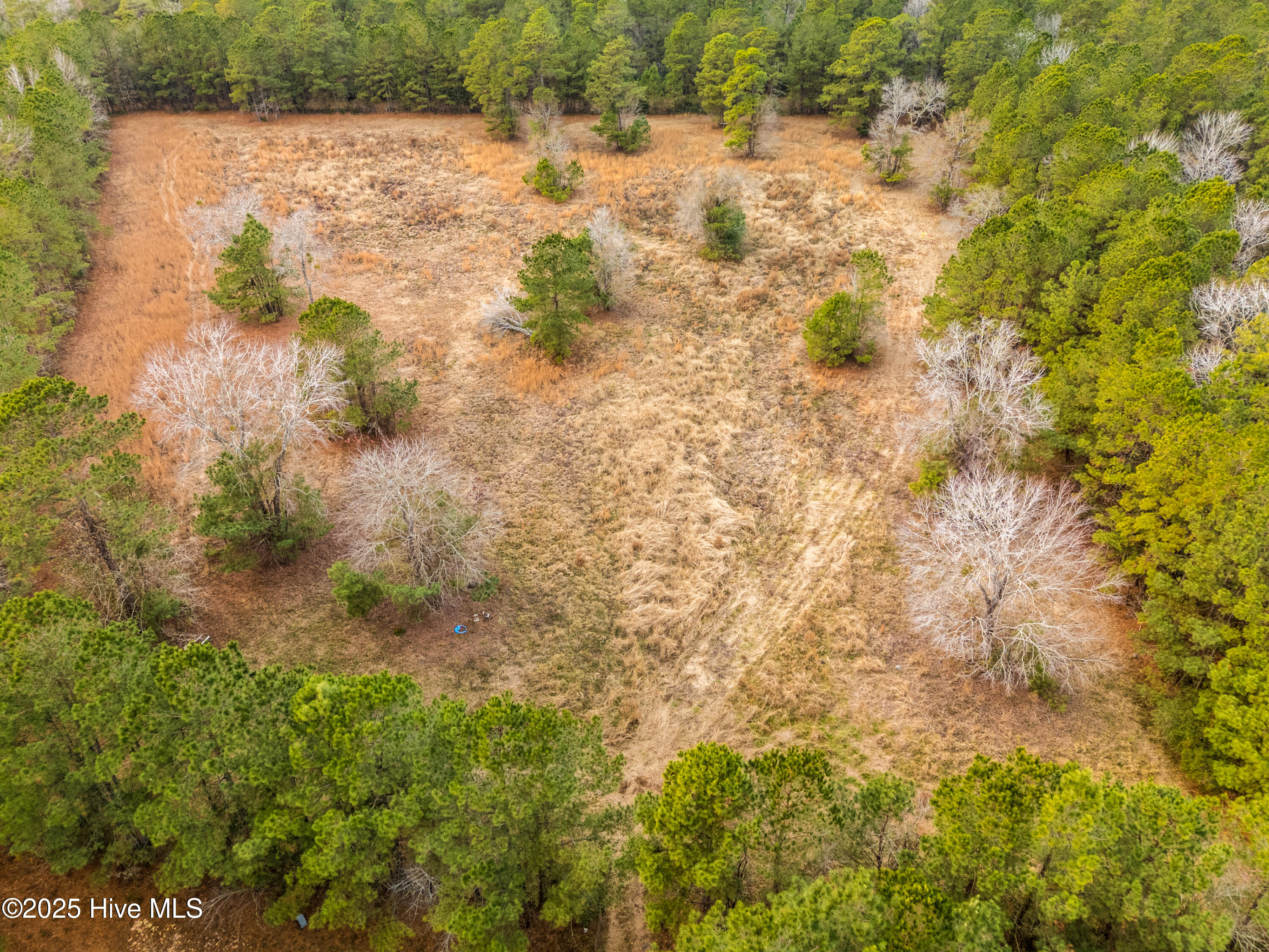 4601 Northeast Northwest Road Northeast Leland, NC 28451 - Photo 17 of 26 4601NorthwestRdLot-56