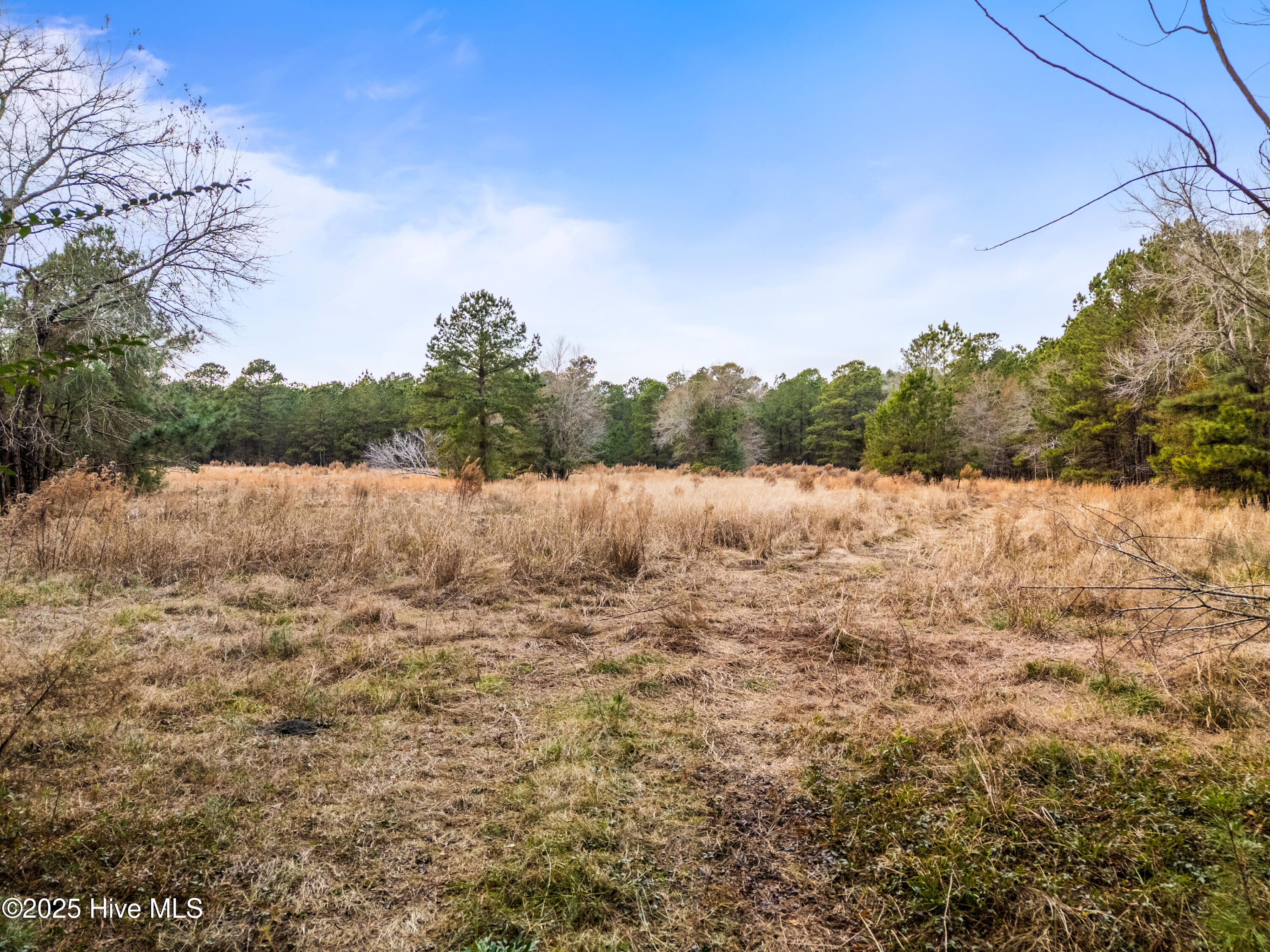 4601 Northeast Northwest Road Northeast Leland, NC 28451 - Photo 22 of 26 4601NorthwestRdLot-103