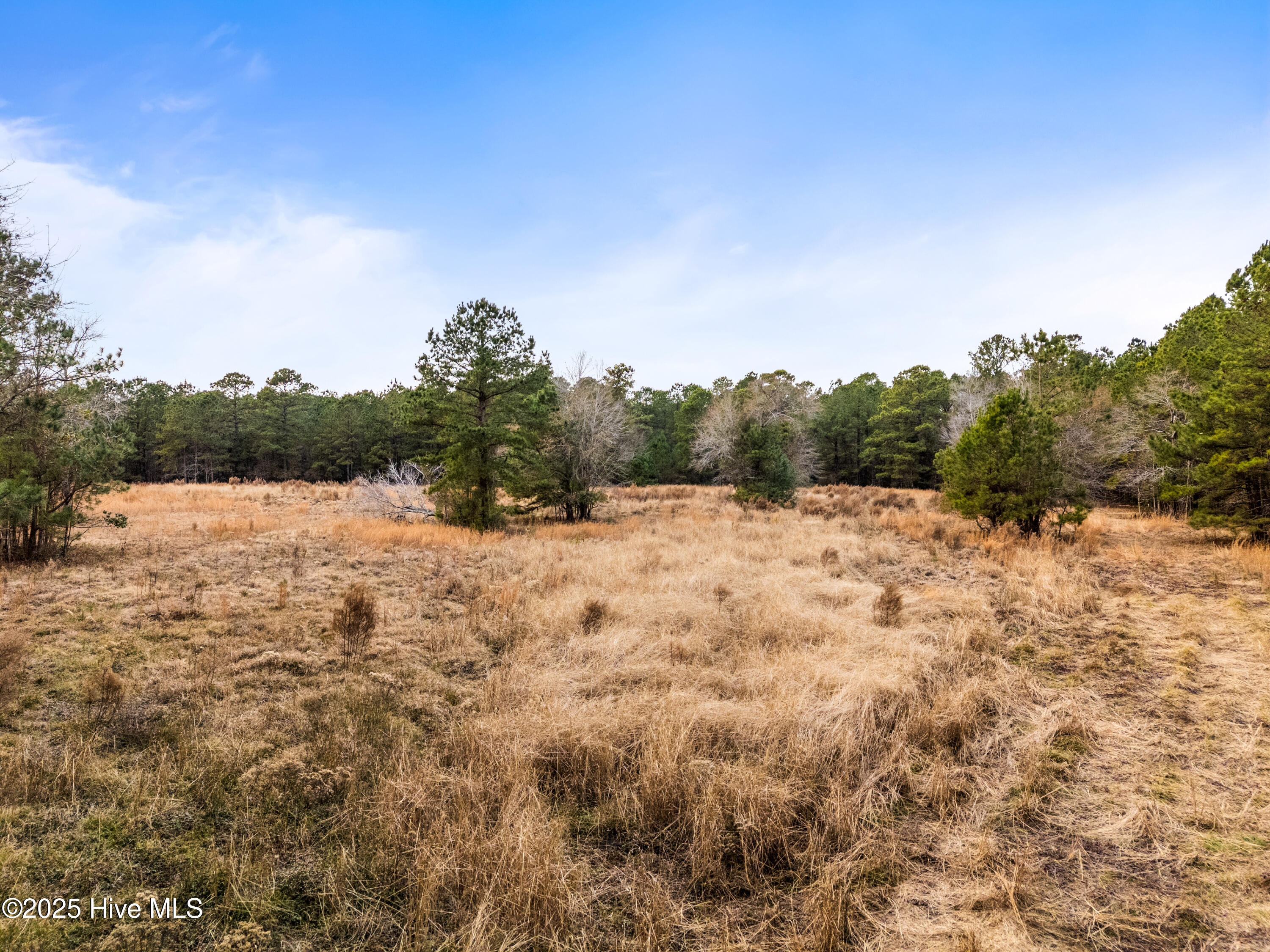 4601 Northeast Northwest Road Northeast Leland, NC 28451 - Photo 23 of 26 4601NorthwestRdLot-108