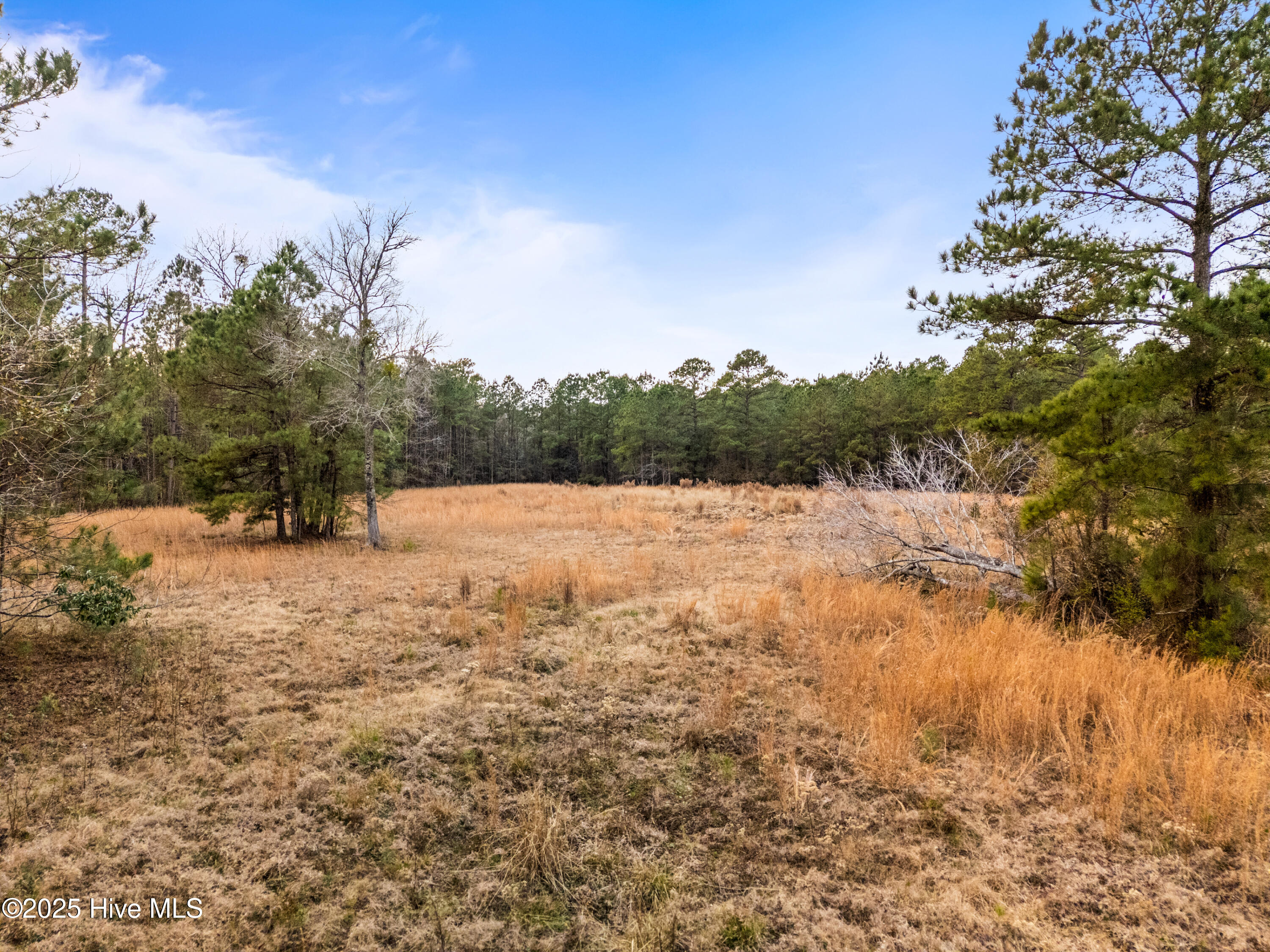 4601 Northeast Northwest Road Northeast Leland, NC 28451 - Photo 24 of 26 4601NorthwestRdLot-113