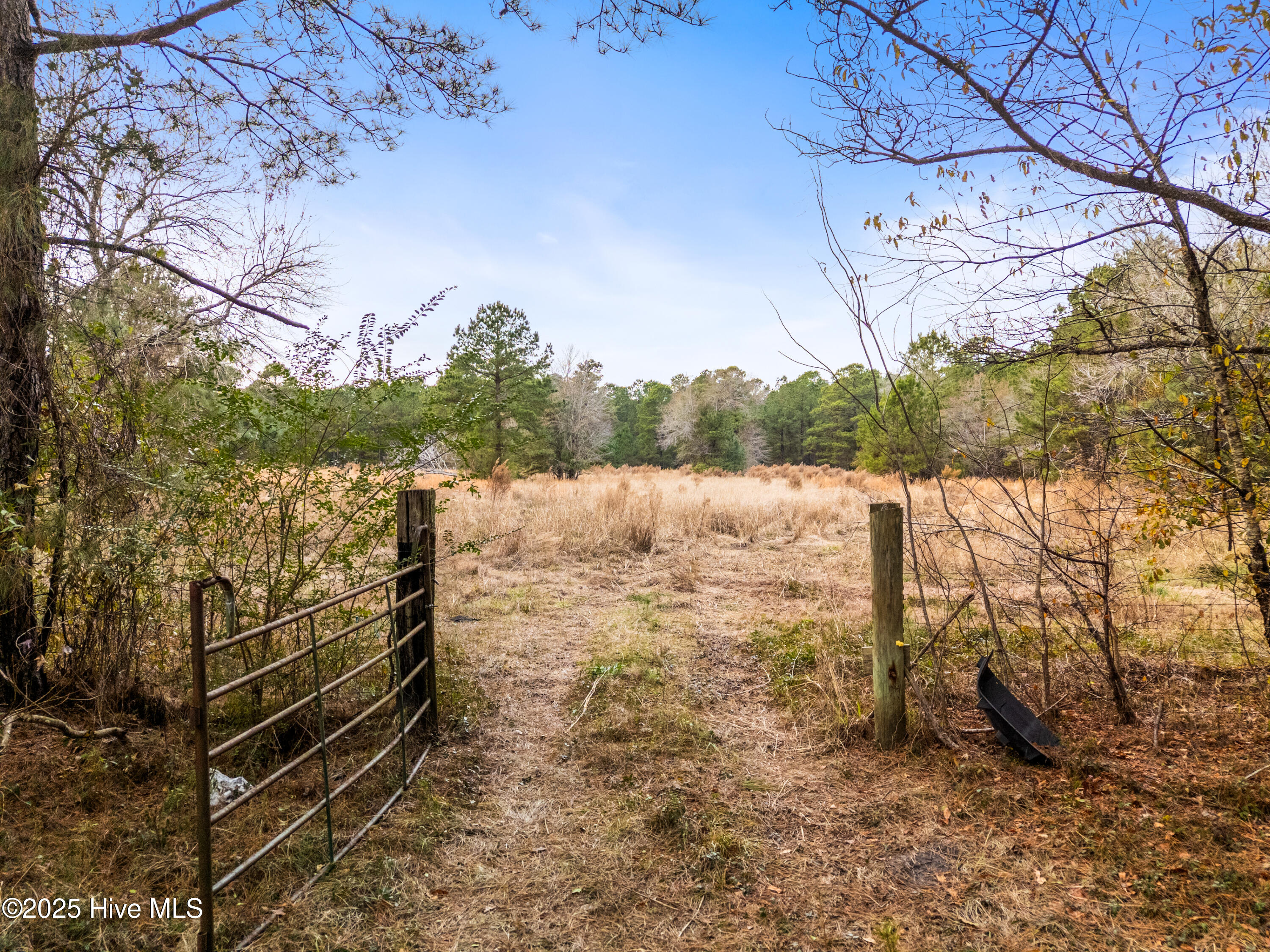 4601 Northeast Northwest Road Northeast Leland, NC 28451 - Photo 6 of 26 4601NorthwestRdLot-98