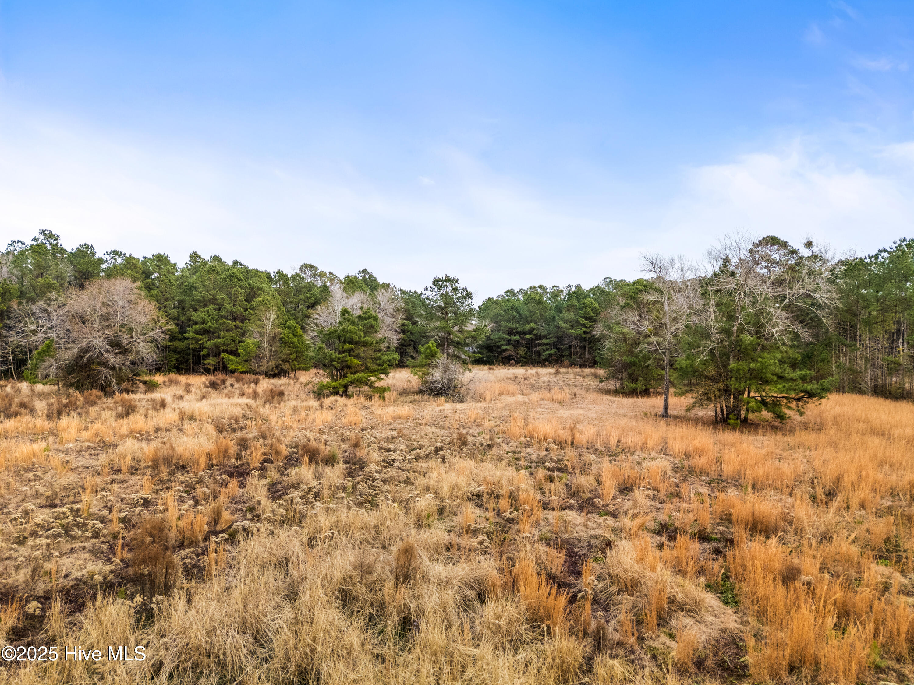 4601 Northeast Northwest Road Northeast Leland, NC 28451 - Photo 7 of 26 4601NorthwestRdLot-118