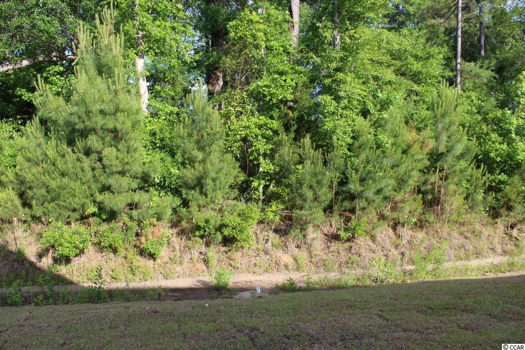 520 Whiddy Loop Conway, SC 29526 - Photo 19 of 27 Gallery Image 19