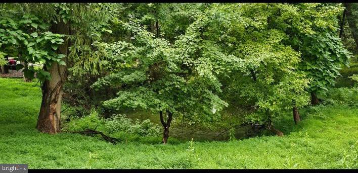 1494 Chinquapin Road Southampton, PA 18966 - Photo 3 of 3 a view of a lush green forest