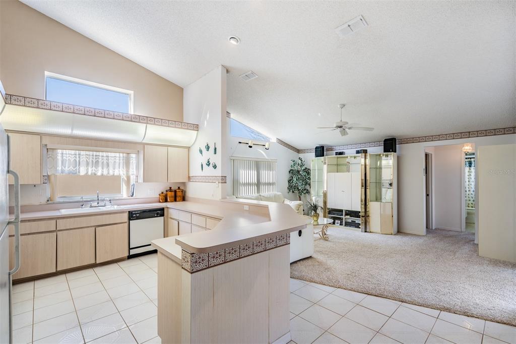 9641 Springmeadow Drive New Port Richey, FL 34655 - Photo 8 of 49 Gallery Image 8