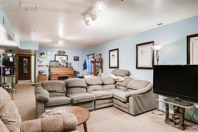 4305 Mallow Road Colorado Springs, CO 80907 - Photo 7 of 19