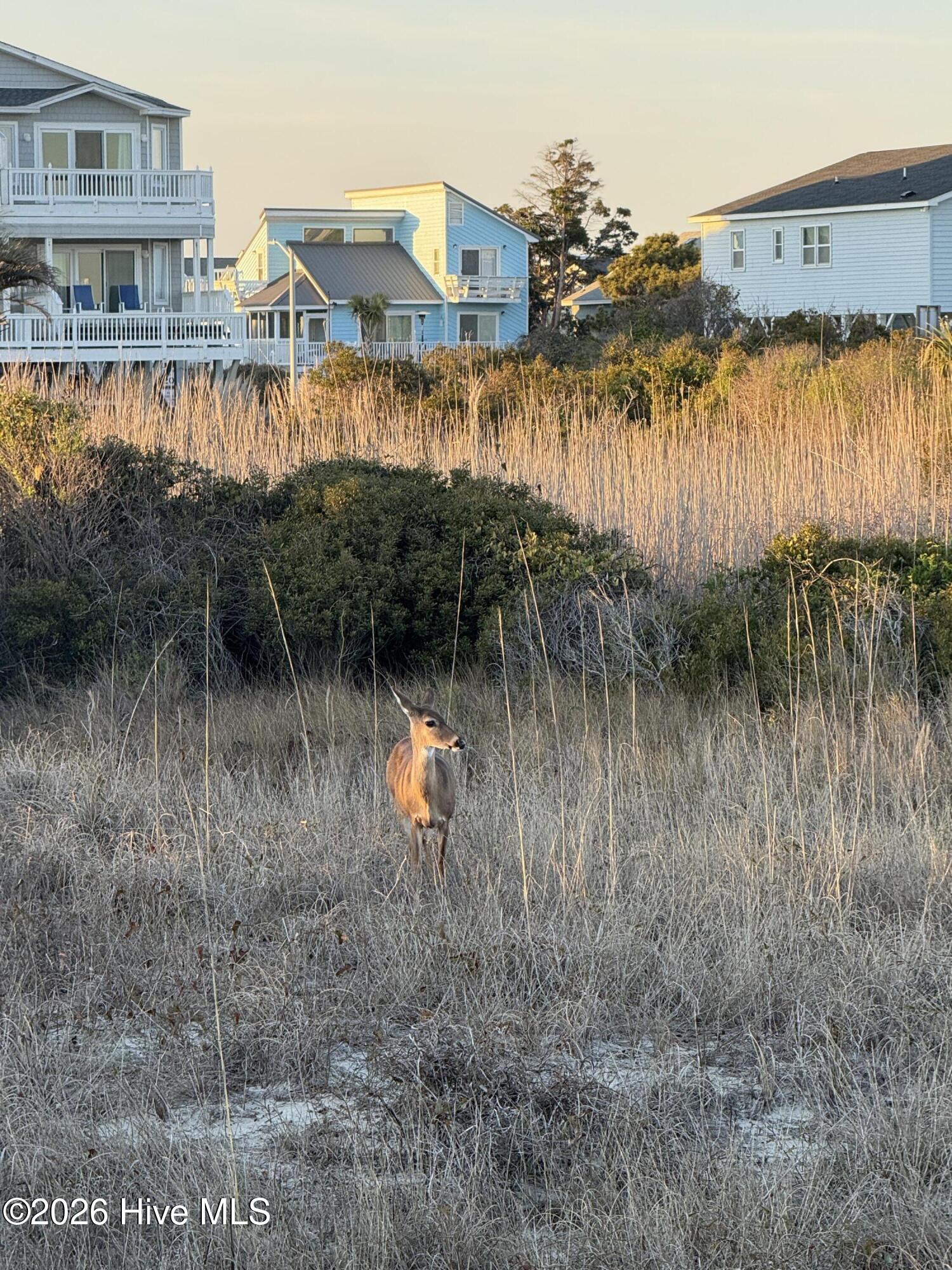 420 1st Street, Unit 2B Sunset Beach, NC 28468 - Photo 40 of 42