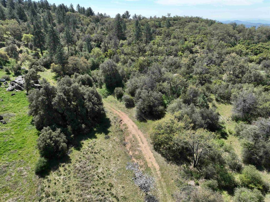 28843 Angel Mountain Road Santa Ysabel, CA 92070 - Photo 18 of 52
