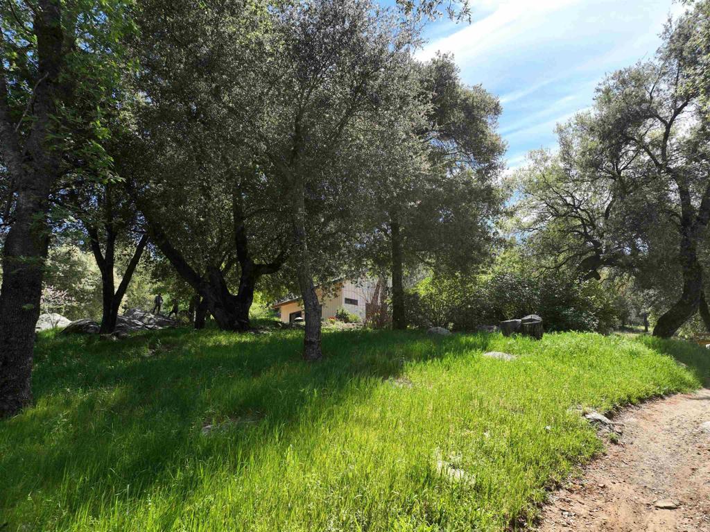 28843 Angel Mountain Road Santa Ysabel, CA 92070 - Photo 19 of 52