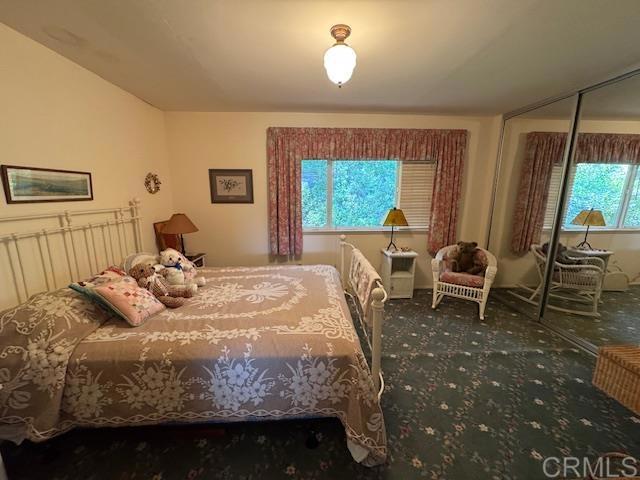 28843 Angel Mountain Road Santa Ysabel, CA 92070 - Photo 34 of 52