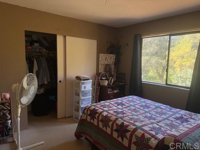 28843 Angel Mountain Road Santa Ysabel, CA 92070 - Photo 43 of 52