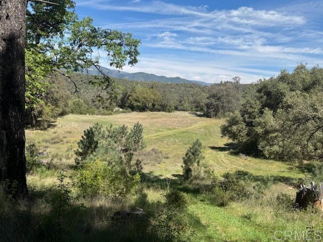 28843 Angel Mountain Road Santa Ysabel, CA 92070 - Photo 47 of 52