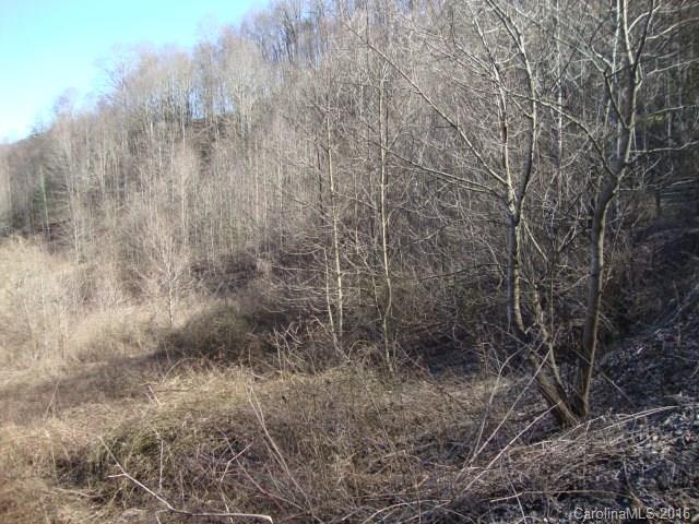 0 Higher Ground Ridge, Unit 9 Waynesville, NC 28785 - Photo 4 of 6 Gallery Image 4
