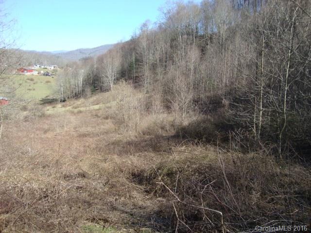 0 Higher Ground Ridge, Unit 9 Waynesville, NC 28785 - Photo 5 of 6 Gallery Image 5