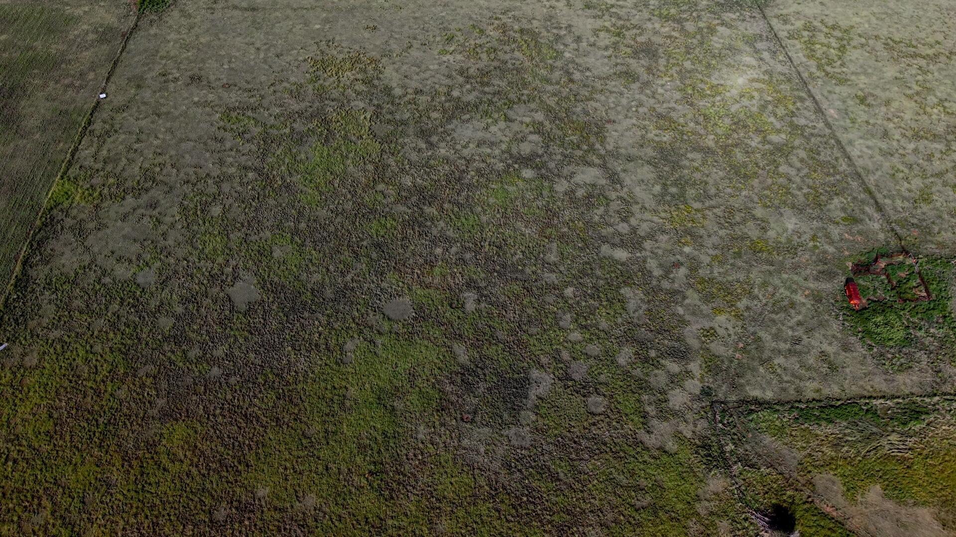 309 Co Road Panhandle, TX 79068 - Photo 2 of 10 Top down 1_1.1.4