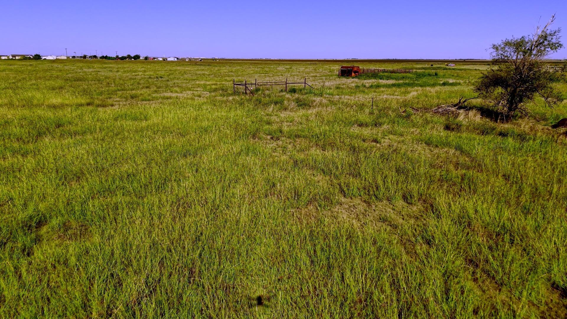309 Co Road Panhandle, TX 79068 - Photo 4 of 10 Low Wide_1.1.10