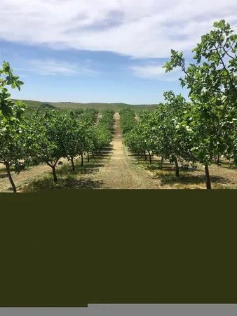 $495,000 | 17981 Los Cerritos Road, Snelling, CA 95369